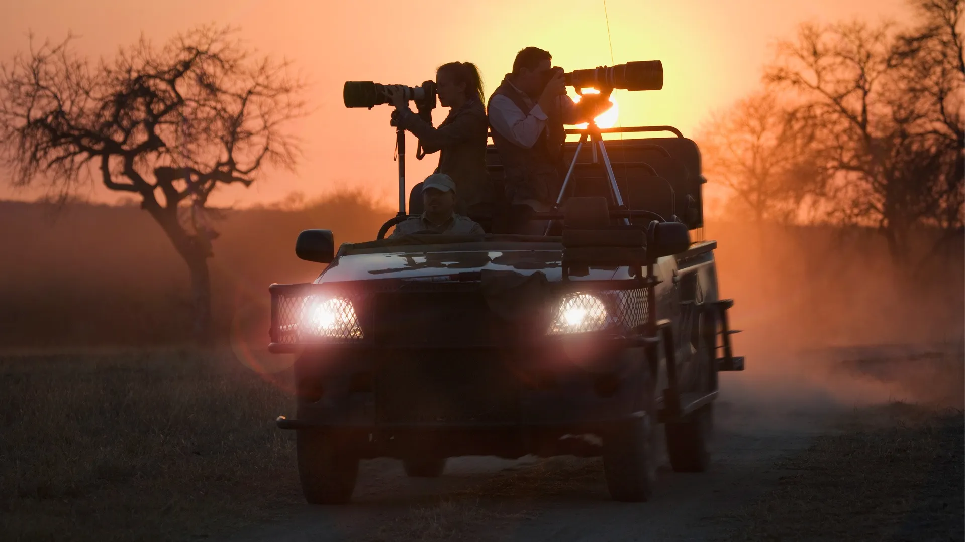 Photographic Safaris