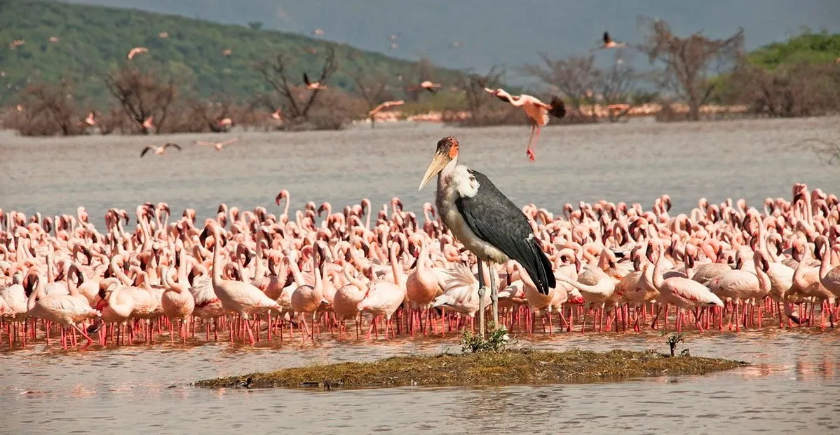 Lake Bogoria National Reserve