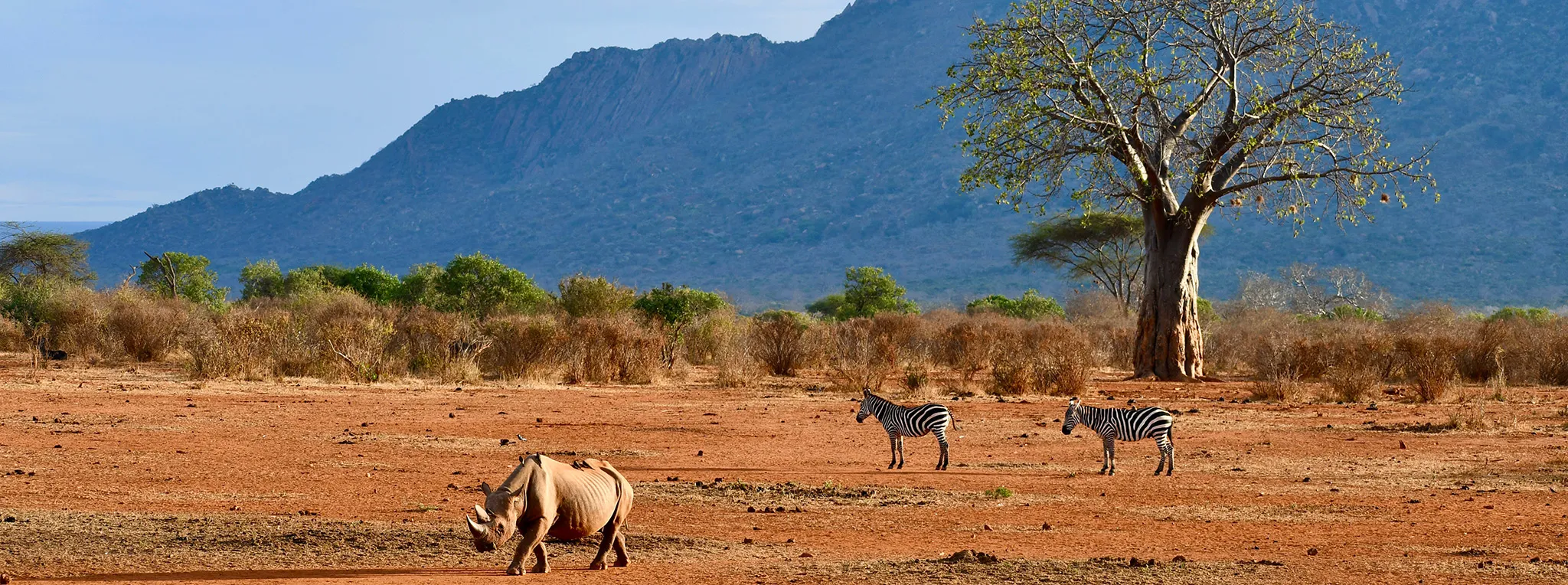 Tsavo West National Park
