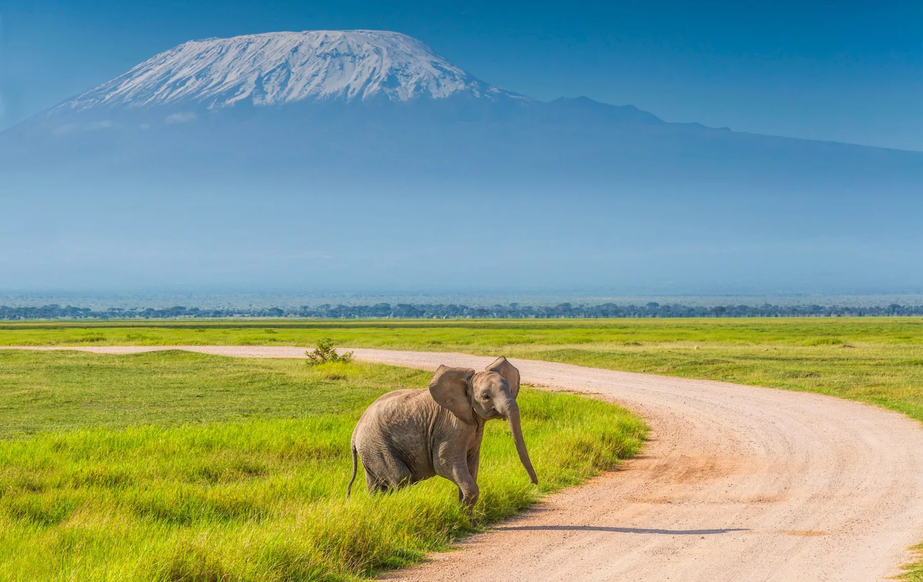Amboseli National Park Group Joining Safari (Friday Departures)