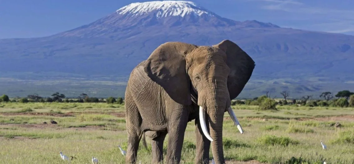 Amboseli National Park Group Joining Safari