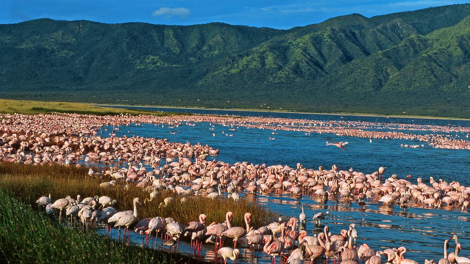 9 Days Great Kenya Rift Valley and Lakes Safari