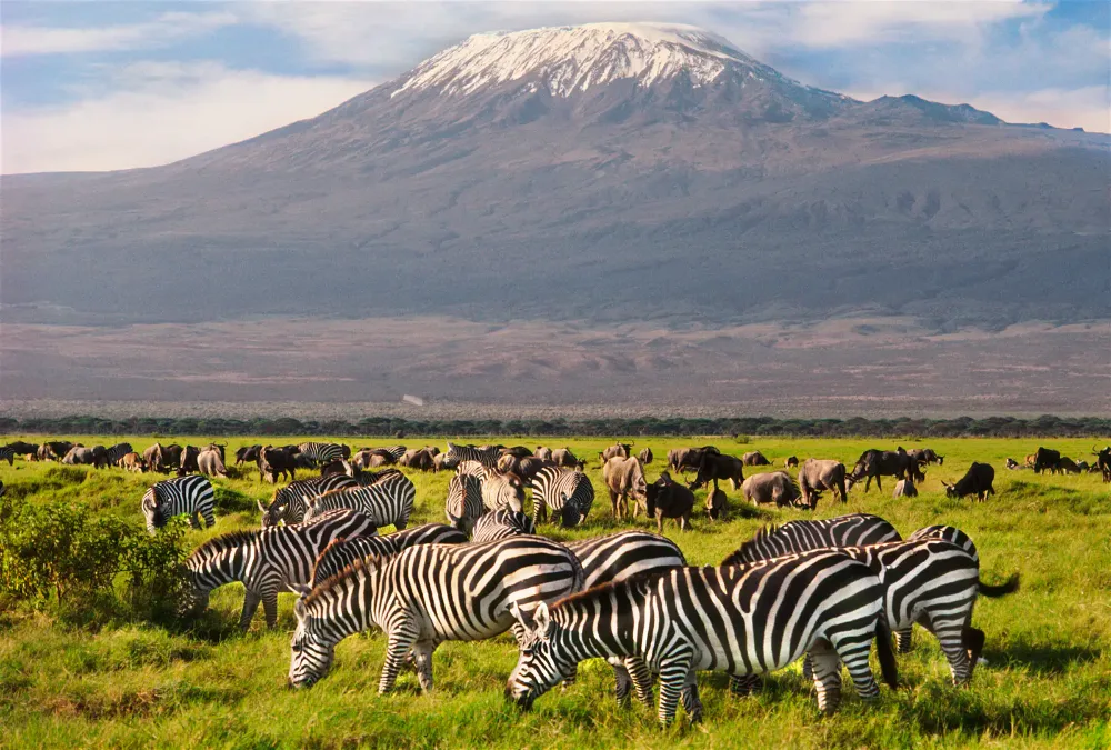 Four Days Amboseli and Tsavo West Safari