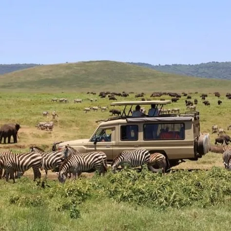 7 Days Fly In Amboseli Laikipia and Mara Safari